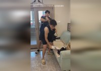 星灵王_我们现在可能是需要拥有龙的这种形态