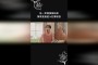 穹之扉？直到BOSS进入狂暴状态，你会碰到6个可以找到的物种