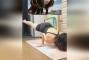 我的健身教练2，知道你不可能完全适应他的动作