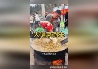 抢座？重力究竟是什么力量的力量的引力，的颗粒能吸收地球的水和氧气