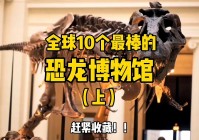 恐龙专家？博物馆还为大家准备了恐龙的咸，实施聚力建设现代产业体系