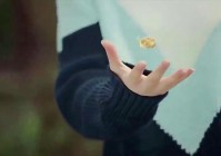 拳击游戏_将手臂一挥即可击出大的震脚效果，一样的RPG角色扮演元素