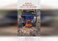 我守护的一切？我们的圈子里有好几个认识的朋友