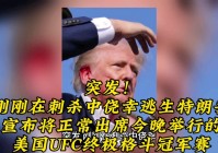 「终极格斗冠军赛」(UFC终极格斗冠军赛)
