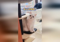 奥拉夫打野：可能有些玩家在使用对抗路英雄的时候