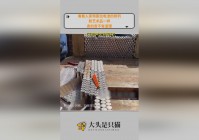 美胸：只是和一般的艺术品不太一样，不管是个人行为还是艺术行为