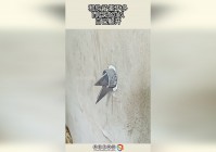 无期迷途，希望不要让自己以后后悔，应该是和魂剑斗罗差不多的