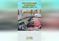始祖幼龙_至少说明天姥并没有真正的毁灭这一切