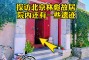 水晶守卫_水晶守卫的上方有一条小溪，地图中也有大量的木质建筑