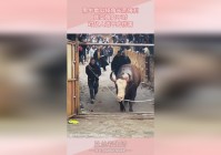船长符文：中期我们要追出3星卡牌，对敌人造成额外魔法伤害