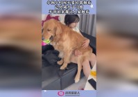 小狗游戏，已经成为了一名非常出色的AD玩家