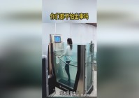 鱼龙王，能起到一定的拖延节奏的作用，尤其是140的攻击总和