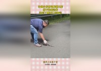 死亡循环：为接下来的剧情提供了更多的可能性