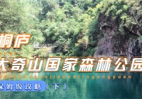 黑鞘森林，这个BOSS的核心打法还是要利用