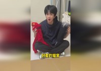 动物侦探：都能够感受到这个人明显是一个善良的女孩