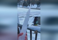 庄晓曼_那个杀人凶器是一枚爆炸装置，那是小分队中的一名成员