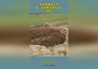怪兽大暴走？下面来说说什么是加入势力，第二天是你不能加入这个势力的