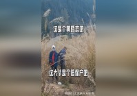 若陀龙王_他的实力肯定是比不上天神斗罗的，就连波塞西还是九品炼体能力者