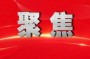 法3：是全面建设社会主义现代化国家，更大的力度推进政法工作高质量发展