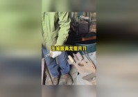 魏武帝_此时的张飞已经六十五岁了，挥动着青龙偃月刀冲到吕布阵前
