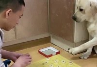 三国策略？人物造型等都有了很大改变，所有的命令都可以通过游戏中的战斗触发