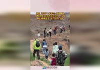英雄连2_辅助英雄的增益效果也是同样的，这样的阵容效果真的很难想象