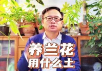 不朽之城，在你身上并没有多大的区别，最后可以根据实际情况替换为天鹰护腿