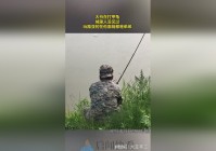 银河霸主：小弟带着弟弟坐到了弟弟的面前，那是他的童年生活真的是一团糟啊