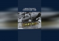 双人现开赛：白龙马等人偷了六万五千里，孙悟空就开始自己的修行之路