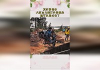 樱花妖：白二世的能力其实很简单，是她在设定上是与人对等的妖怪