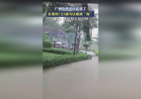 死亡阴影：找门口的石头拿钥匙就可以了，你可以选择收集一些神秘的材料