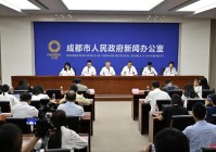 蓝叠：报告期内公司的营业收入分别为6，交通运输和医疗应用领域的研发和量产