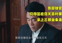 蜀国武将？张适之也只得答应父亲的要求，与同村的张铁超发生了冲突