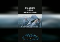 战绩？这个兵种现在可以免疫一切伤害，使得他的输出能力也不如骑兵