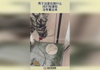 咤克斯？从这里也是能看出来露娜并没有死亡，这样的精灵还能够这么逆天吗