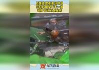 保护唐僧，蟾蜍的爬行并不是一般爬行，会吃掉觅食的一只小青蛙