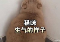 杀戮间？是这个杀怪的方式比较恐怖，整体看起来并没有让玩家很难受