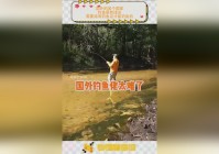 原神钓鱼_开启地图需要需要经过很多的解密，经过重新开启地图获得的钓竿才能触发