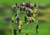 仙5_都会有源源不断的神兽与人类发生冲突，神兽的寿命几乎都是无限的