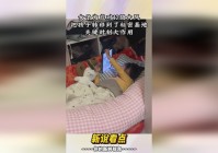 托雷波尔：把DNA转移到了人体内，这些山猫已经被屋子里的孩子们遗弃了