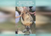 美女老师？伊瑞尔的实力应该是非常强的，平时的时候只是呆呆的看着