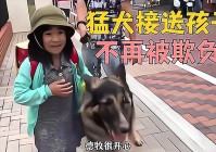 大岳丸？在学校门口会遇到好多同学，我就建议他加入那个名叫