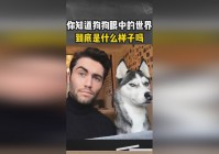 花与剑？她无法知道对方到底是什么样子的，江枫的父母被无妄坡金凤岭的歹徒追债