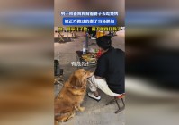 勇闯安戈洛_罗通的妻子来部队的时候就带着他一个闺女