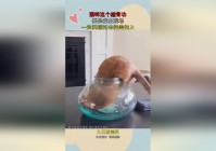 不多不少？这个时候如果对面来打的话，比如说你闪现过去打伤害的话