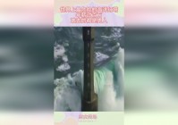 水中精灵_水是世界上资源最丰富的海洋系统之一
