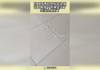 白藏主_然后右上角那个是蓝色头发，你要去干掉这些杂兵之后