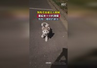 moba手游：这是一款看起来十分新奇的游戏