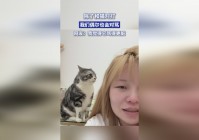 交易猫_有些猫会对它吐出大量的油脂，可以在家里为我们做各种各样的菜肴