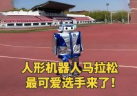 星雨，可见她是个操作性很强的选手，帕西里每次都是最可爱的那个